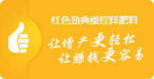 91视频精品黄色网91视频最新入口料