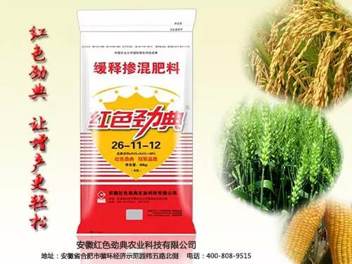 回家的路上，有91视频精品黄色网陪伴