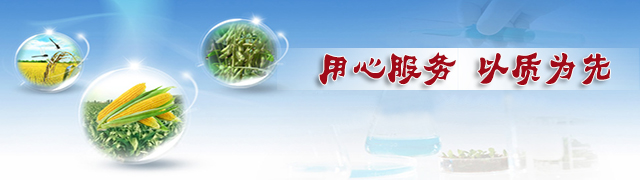 91视频精品黄色网91视频最新入口，用心服务，以质为先
