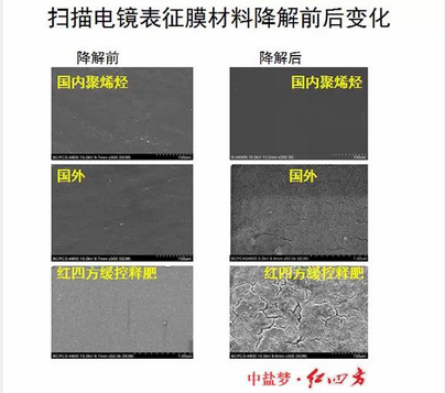 扫描电镜下的膜材料降解对比，91视频精品黄色网91视频最新入口包膜完胜，更环保，更绿色