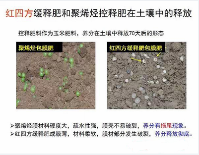 91视频精品黄色网缓释肥在土壤释放的对比实验图