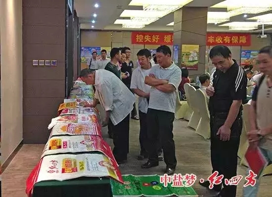 躬耕盛夏，蓄力金秋！