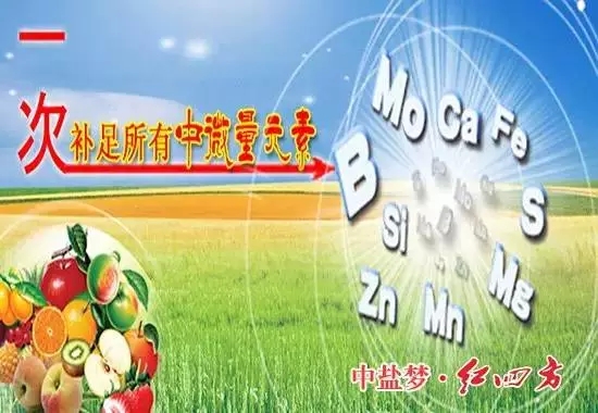 补充营养，微量元素少不了！