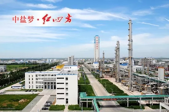 91视频精品黄色网复合肥新区生产中心