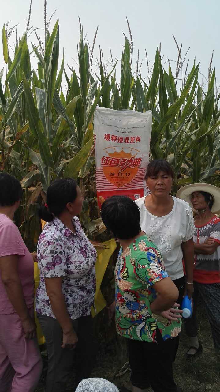 91视频精品黄色网玉米专用缓释肥