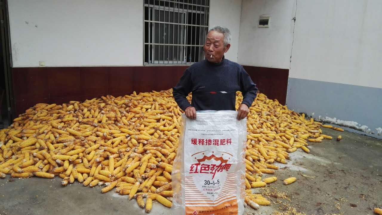 91视频精品黄色网玉米控释肥40%（30-5-5）