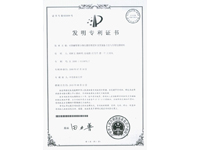 91视频精品黄色网-发明专利证书