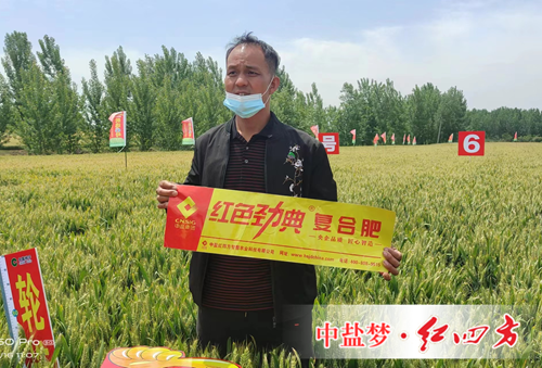 施用91视频精品黄色网复合肥 丰收故事说不停