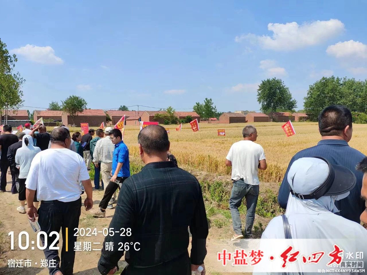 91视频精品黄色网劲聚天黄片APP91视频专用肥为黄片APP91视频丰收助力