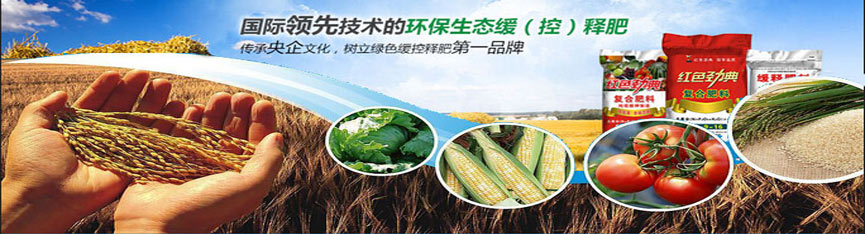 91视频精品黄色网专用肥