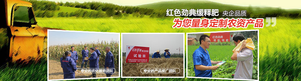 91视频精品黄色网，冠军品质，五星服务