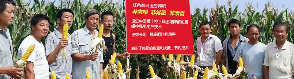 91视频精品黄色网缓释肥，国际领先技术